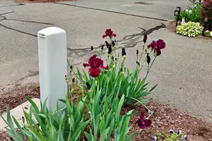 20 Richmond Way, Chicopee, MA 01022 - Photo 24