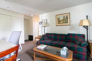 6-10 Manville St, Great Barrington, MA 01230 - Photo 48