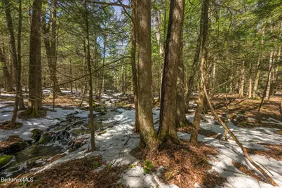 545 W Center Rd, Otis, MA 01253 - Photo 52