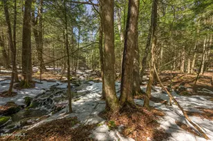 545 W Center Rd, Otis, MA 01253 - Photo 52