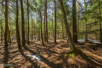 545 W Center Rd, Otis, MA 01253 - Photo 56