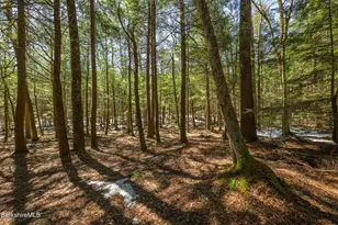 545 W Center Rd, Otis, MA 01253 - Photo 56
