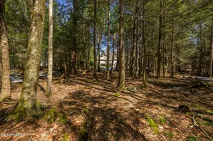 545 W Center Rd, Otis, MA 01253 - Photo 54