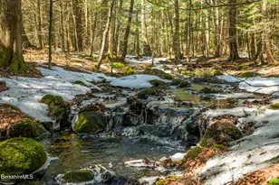 545 W Center Rd, Otis, MA 01253 - Photo 52