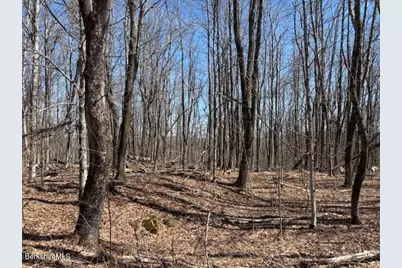 Bonny Rigg Hill Rd, Becket, MA 01223 - Photo 4