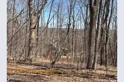 Bonny Rigg Hill Rd, Becket, MA 01223 - Photo 8