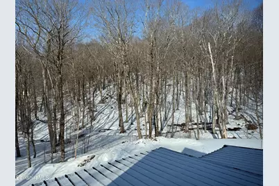 43 Bergblume Cir, Stamford, VT 05352 - Photo 40