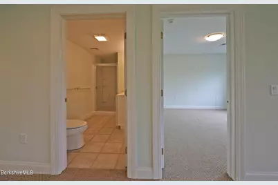 33 Alpine Trail, Pittsfield, MA 01201 - Photo 58