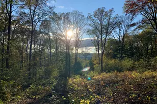 481 Shunpike Rd, Sheffield, MA 01257 - Photo 32