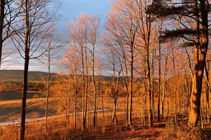 15 Reservoir Rd, Richmond, MA 01254 - Photo 8