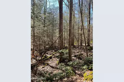 Lot #10 East Mountain Rd, Great Barrington, MA 01230 - Photo 2