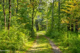 10 Phelps Rd, Monterey, MA 01245 - Photo 44