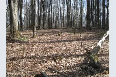 0 Mohawk Lake Rd, Stockbridge, MA 01262 - Photo 2