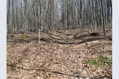 0 Mohawk Lake Rd, Stockbridge, MA 01262 - Photo 1