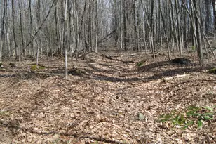 0 Mohawk Lake Rd, Stockbridge, MA 01262 - Photo 1