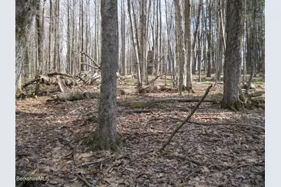 0 Mohawk Lake Rd, Stockbridge, MA 01262 - Photo 4