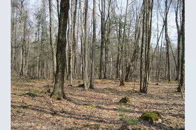 0 Mohawk Lake Rd, Stockbridge, MA 01262 - Photo 2