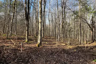 411-51 &52 Skyline Trail Trail, Middlefield, MA 01243 - Photo 1