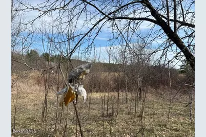 0 Mill River To Great Barrington Rd, New Marlboro, MA 01230 - Photo 4