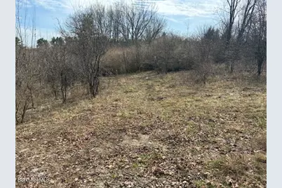 0 Mill River To Great Barrington Rd, New Marlboro, MA 01230 - Photo 1