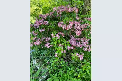 4 Birch Hill Rd, Peru, MA 01235 - Photo 48