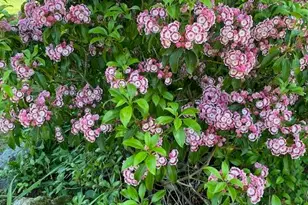 4 Birch Hill Rd, Peru, MA 01235 - Photo 48