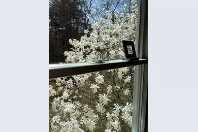 4 Birch Hill Rd, Peru, MA 01235 - Photo 46