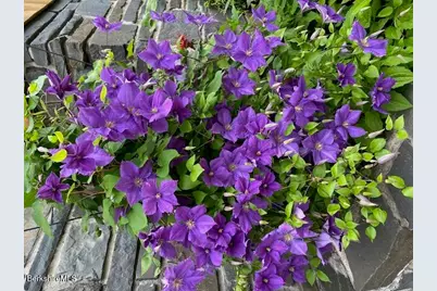 4 Birch Hill Rd, Peru, MA 01235 - Photo 50