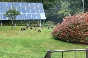 4 Birch Hill Rd, Peru, MA 01235 - Photo 54