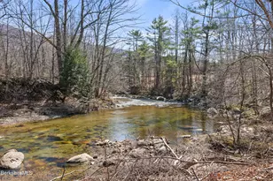 738 River Rd, Clarksburg, MA 01247 - Photo 8