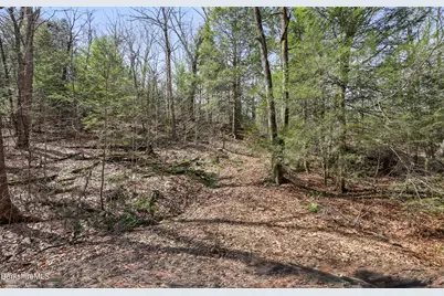Lot #6 Hemlock Rd, Tyringham, MA 01264 - Photo 12