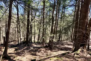 8 Hemlock Rd, Tyringham, MA 01264 - Photo 1