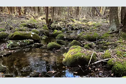 Lot1 Marcy Rd, Otis, MA 01253 - Photo 4
