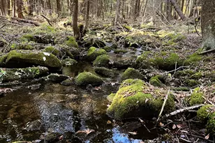 Lot1 Marcy Rd, Otis, MA 01253 - Photo 4