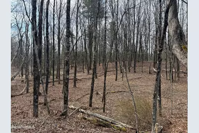 0 George Schnopp Rd, Hinsdale, MA 01235 - Photo 4