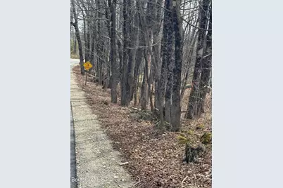 0 George Schnopp Rd, Hinsdale, MA 01235 - Photo 1
