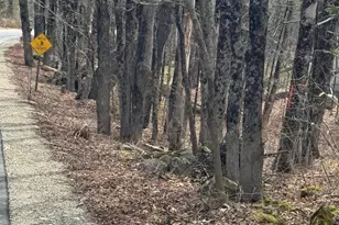 0 George Schnopp Rd, Hinsdale, MA 01235 - Photo 1