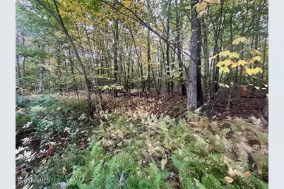 0 Stryker Road, Florida, MA 01247 - Photo 4