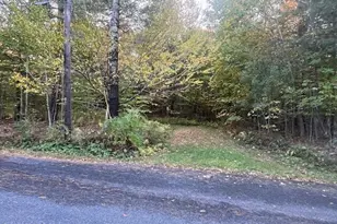 0 Stryker Rd, Florida, MA 01247 - Photo 1