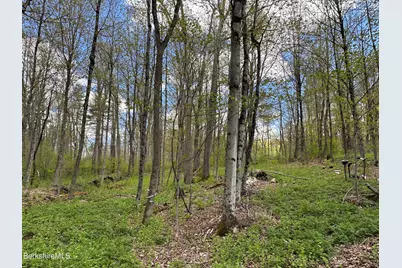 2447 State Rd, Richmond, MA 01254 - Photo 8