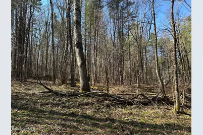 2447 State Rd, Richmond, MA 01254 - Photo 4