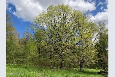 0 Lenox Rd, West Stockbridge, MA 01266 - Photo 14