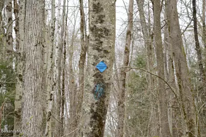 0 E Otis Rd, Tolland, MA 01034 - Photo 4