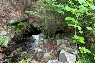 369 Pine Rd, Otis, MA 01253 - Photo 12