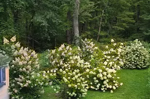 7 Lake Buel Rd, Great Barrington, MA 01230 - Photo 40