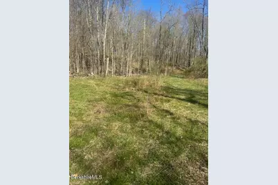 132 Cascade St, Pittsfield, MA 01201 - Photo 6
