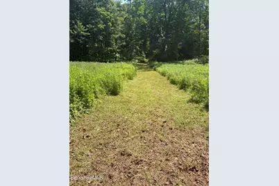 132 Cascade St, Pittsfield, MA 01201 - Photo 2