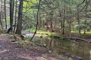 141 Stage Rd, Cummington, MA 01026 - Photo 18