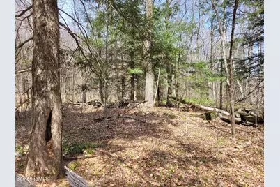 Lot 3 Town Hill Rd, Sandisfield, MA 01255 - Photo 12