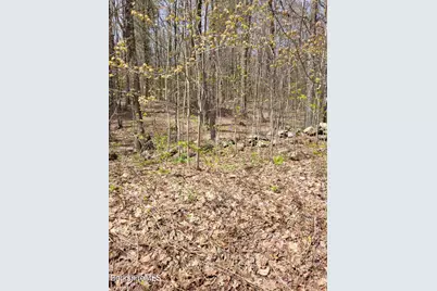 Lot 3 Town Hill Rd, Sandisfield, MA 01255 - Photo 14